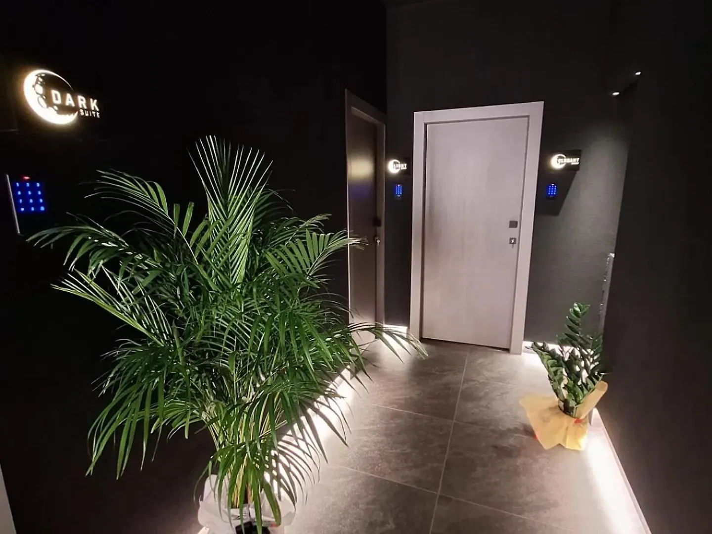 Dark & Light Rooms & Luxury Suites Katánie 0*,